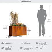 Rusty rectangular planter with dimensions and features displayed, including a silhouette of a person for scale.